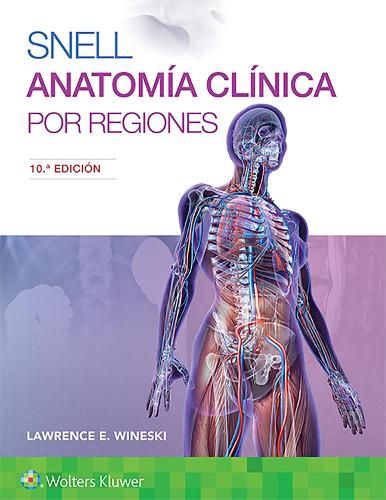 Cover image for Snell. Anatomia clinica por regiones