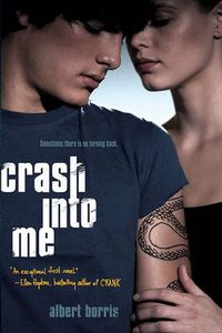 Cover image for Crash into Me