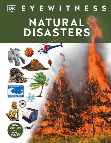 Cover image for Natural Disasters