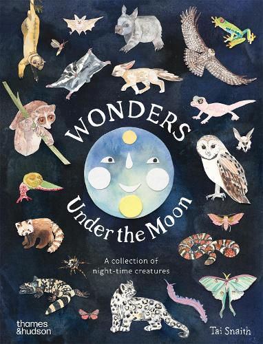 Wonders Under the Moon