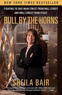 Cover image for Bull by the Horns: Fighting to Save Main Street from Wall Street and Wall Street from Itself
