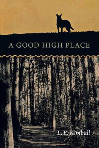 Cover image for A Good High Place