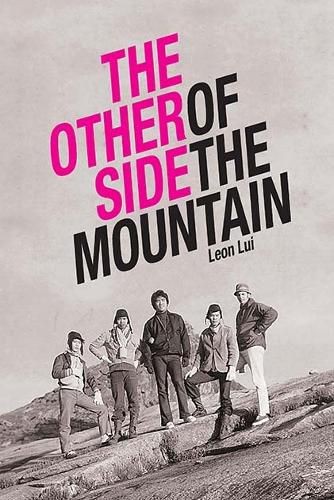 Cover image for The Other Side of the Mountain