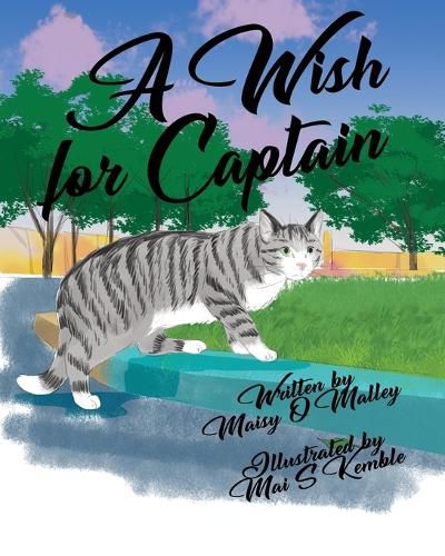 Cover image for A Wish for Captain