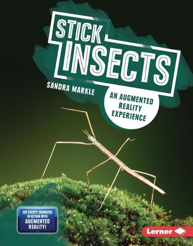 Cover image for Stick Insects