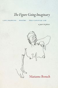 Cover image for The Figure Going Imaginary