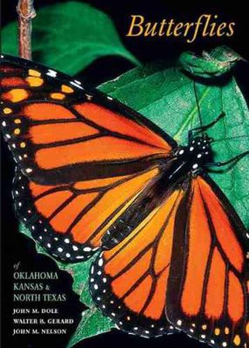 Cover image for Butterflies of Oklahoma, Kansas, and North Texas