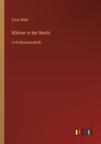 Cover image for Maenner in der Nacht