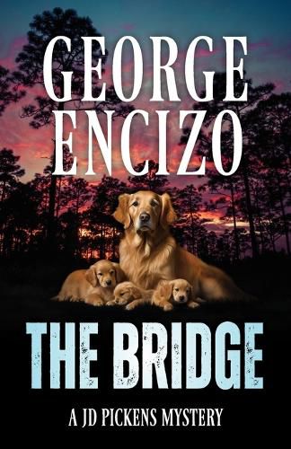 Cover image for The Bridge