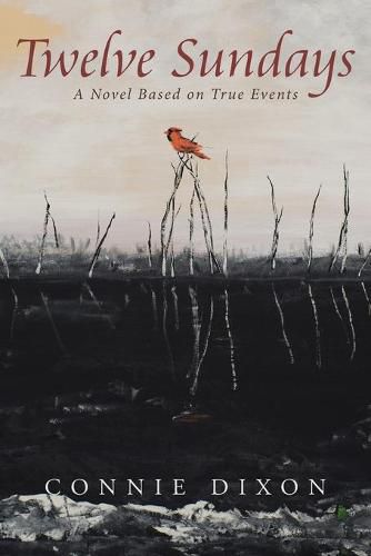 Cover image for Twelve Sundays: A Novel Based on True Events