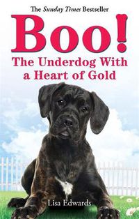 Cover image for Boo!: The Underdog With a Heart of Gold