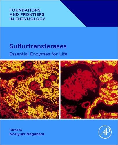 Cover image for Sulfurtransferases