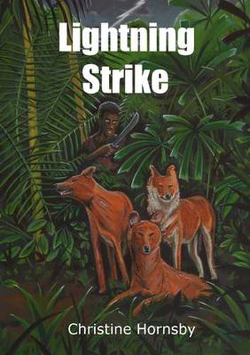 Cover image for Lightning Strike