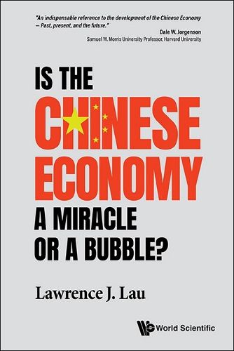 Cover image for Is The Chinese Economy A Miracle Or A Bubble?