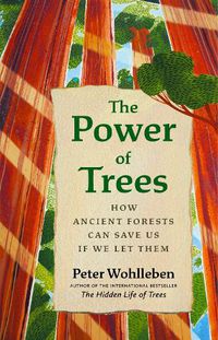 Cover image for The Power of Trees: How Ancient Forests Can Save Us if We Let Them