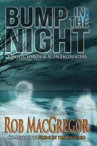 Cover image for Bump in the Night