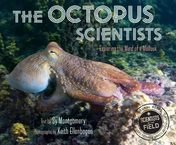 Octopus Scientists: Exploring the Mind of a Mollusk