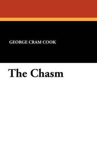 Cover image for The Chasm