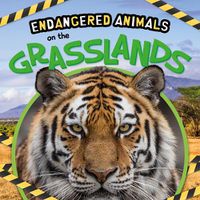 Cover image for On the Grasslands