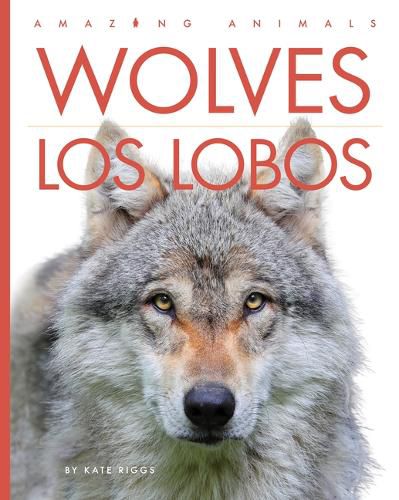 Cover image for Wolves / Los Lobos