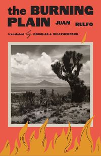 Cover image for The Burning Plain