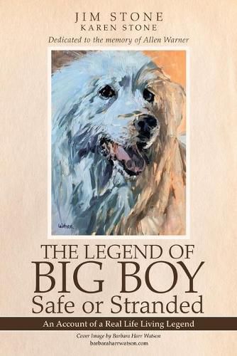 Cover image for The Legend of Big Boy Safe or Stranded: An Account of a Real Life Living Legend