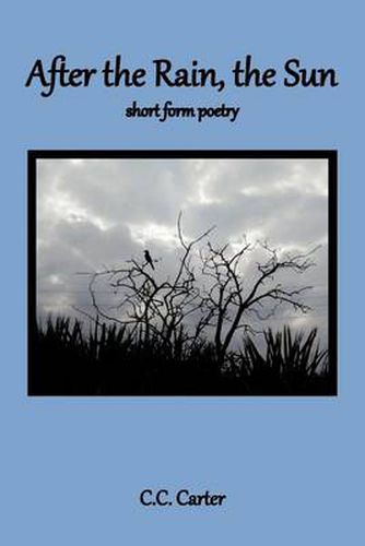 Cover image for After the Rain, the Sun