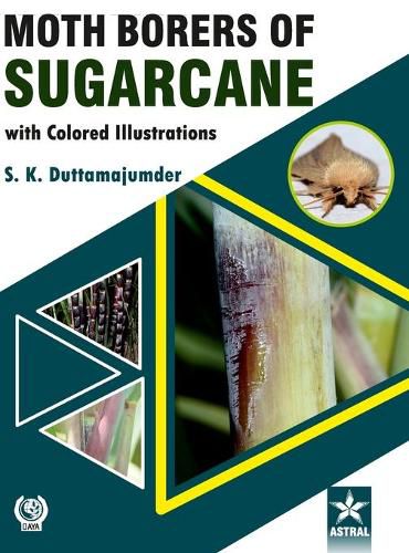 Cover image for Moth Borers of Sugarcane with Colored IIIustrations