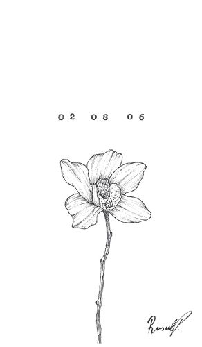 Cover image for 020806