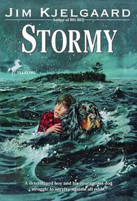 Cover image for Stormy