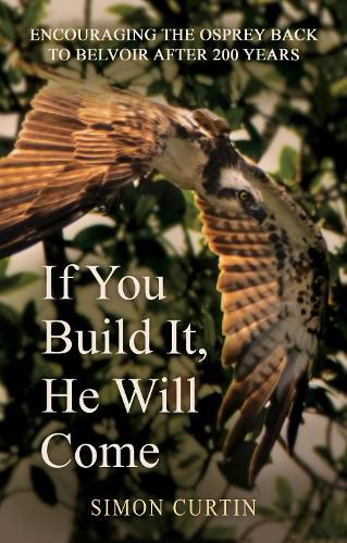 Cover image for If You Build It, He Will Come