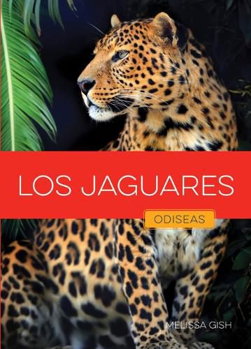 Cover image for Los Jaguares