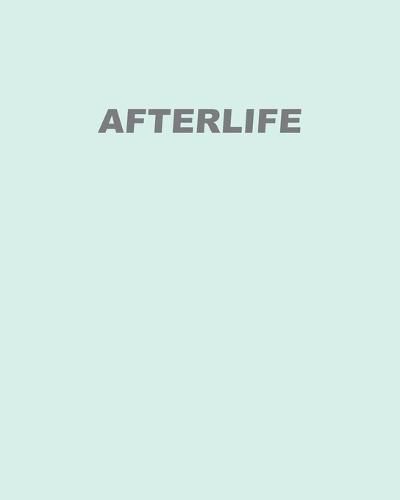 Cover image for Afterlife