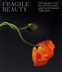 Cover image for Fragile Beauty