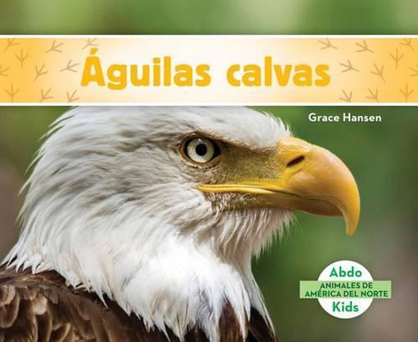 Cover image for Aguilas Calvas / Bald Eagles