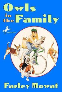 Cover image for Owls in the Family