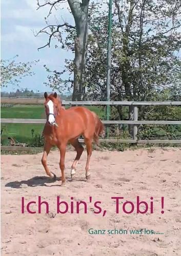 Cover image for Ich bin's, Tobi !: Ganz schoen was los....