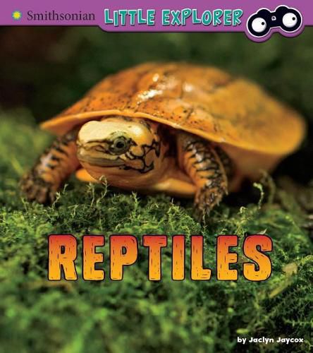 Cover image for Reptiles: A 4D Book