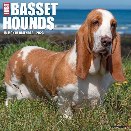Cover image for Just Basset Hounds 2023 Wall Calendar