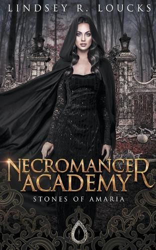 Cover image for Necromancer Academy