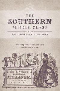 Cover image for The Southern Middle Class in the Long Nineteenth Century