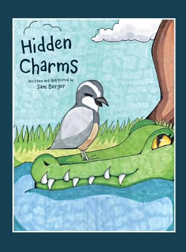 Cover image for Hidden Charms