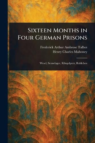 Cover image for Sixteen Months in Four German Prisons