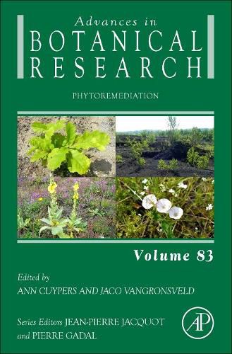 Cover image for Phytoremediation