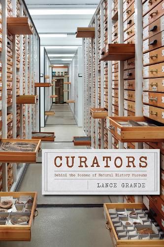 Cover image for Curators - Behind the Scenes of Natural History Museums