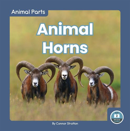 Cover image for Animal Parts: Animal Horns