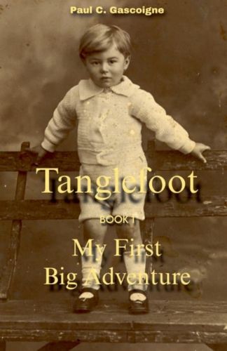 Cover image for Tanglefoot