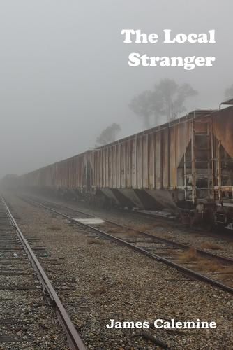 Cover image for The Local Stranger