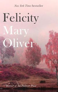 Cover image for Felicity