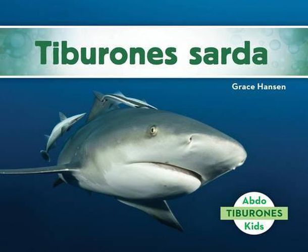 Cover image for Tiburones Sarda/ Bull Sharks